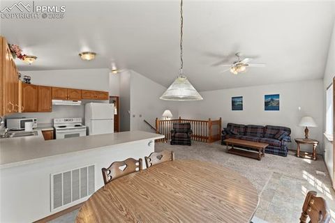 Tiny photo for 485 Donzi Trail, Florissant, CO 80816 (MLS # 5643264)
