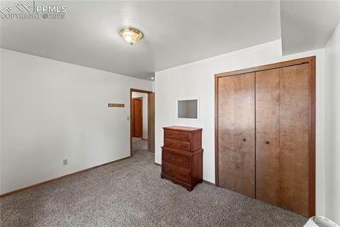 Tiny photo for 485 Donzi Trail, Florissant, CO 80816 (MLS # 5643264)