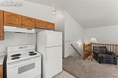 Tiny photo for 485 Donzi Trail, Florissant, CO 80816 (MLS # 5643264)