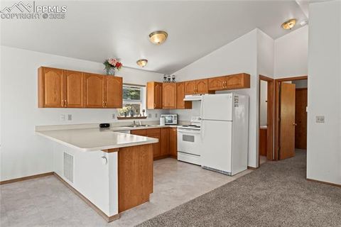 Tiny photo for 485 Donzi Trail, Florissant, CO 80816 (MLS # 5643264)