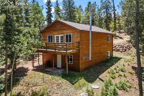 Photo of 485 Donzi Trail, Florissant, CO 80816 (MLS # 5643264)
