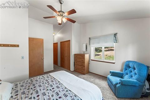 Tiny photo for 485 Donzi Trail, Florissant, CO 80816 (MLS # 5643264)