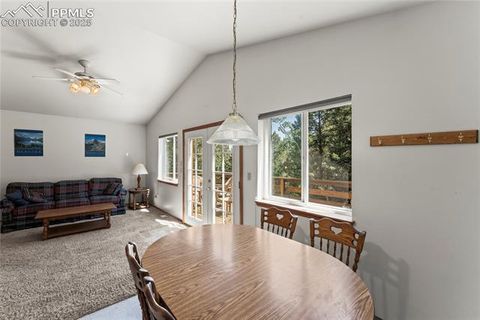 Tiny photo for 485 Donzi Trail, Florissant, CO 80816 (MLS # 5643264)