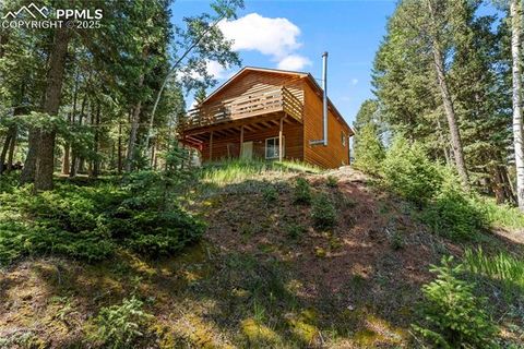 Tiny photo for 485 Donzi Trail, Florissant, CO 80816 (MLS # 5643264)