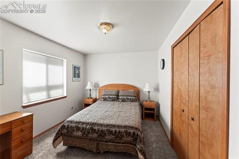 Tiny photo for 485 Donzi Trail, Florissant, CO 80816 (MLS # 5643264)
