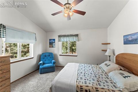 Tiny photo for 485 Donzi Trail, Florissant, CO 80816 (MLS # 5643264)