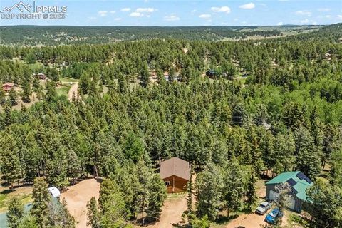 Tiny photo for 485 Donzi Trail, Florissant, CO 80816 (MLS # 5643264)