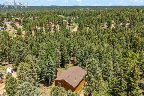 Tiny photo for 485 Donzi Trail, Florissant, CO 80816 (MLS # 5643264)