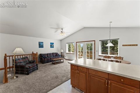 Tiny photo for 485 Donzi Trail, Florissant, CO 80816 (MLS # 5643264)