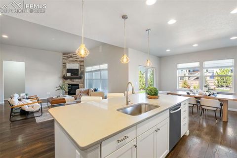 Tiny photo for 4508 Captain Jack Lane, Colorado Springs, CO 80924 (MLS # 1003616)