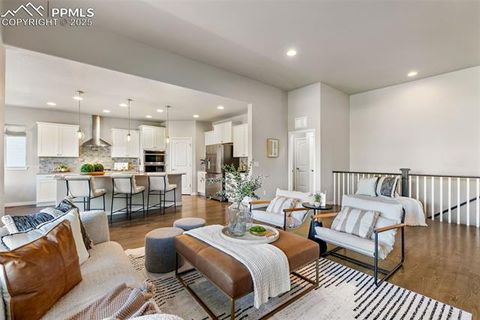 Tiny photo for 4508 Captain Jack Lane, Colorado Springs, CO 80924 (MLS # 1003616)