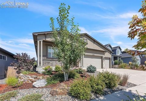 Tiny photo for 4508 Captain Jack Lane, Colorado Springs, CO 80924 (MLS # 1003616)
