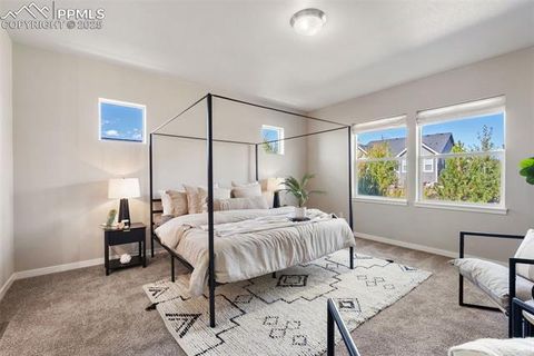 Tiny photo for 4508 Captain Jack Lane, Colorado Springs, CO 80924 (MLS # 1003616)