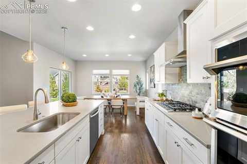 Tiny photo for 4508 Captain Jack Lane, Colorado Springs, CO 80924 (MLS # 1003616)