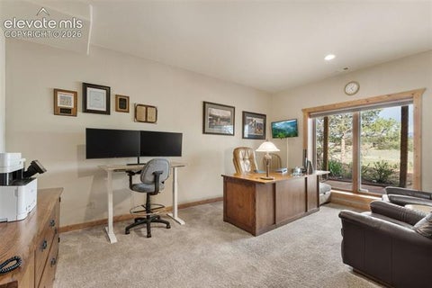 Tiny photo for 567 County Road 31, Florissant, CO 80816 (MLS # 6173697)