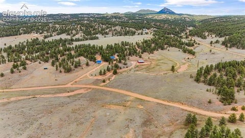Tiny photo for 567 County Road 31, Florissant, CO 80816 (MLS # 6173697)