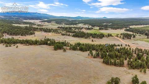 Tiny photo for 567 County Road 31, Florissant, CO 80816 (MLS # 6173697)