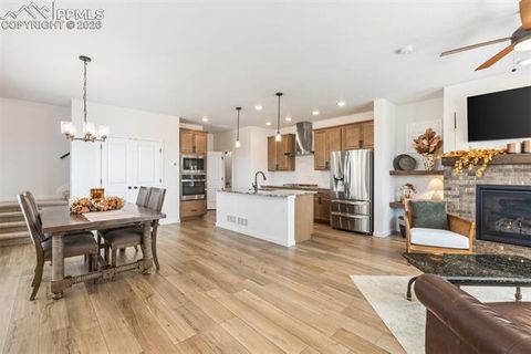 Tiny photo for 9297 Meccano Point, Colorado Springs, CO 80924 (MLS # 5631973)