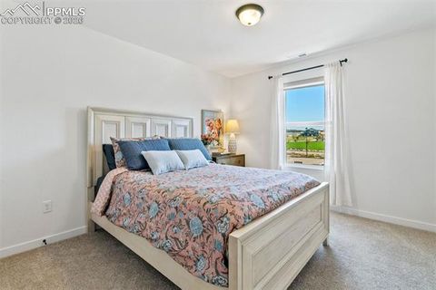 Tiny photo for 9297 Meccano Point, Colorado Springs, CO 80924 (MLS # 5631973)