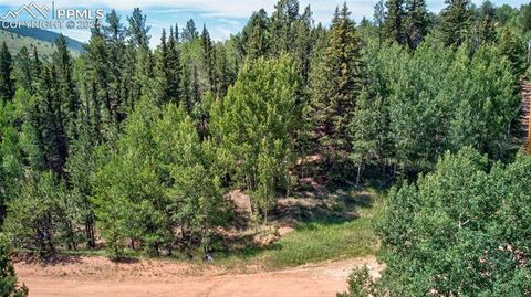 158 Rattler Court Cripple Creek CO 80813