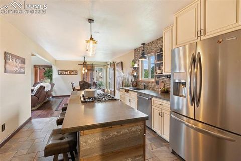 Tiny photo for 1860 Blackfoot Trail, Woodland Park, CO 80863 (MLS # 7037560)