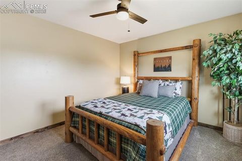 Tiny photo for 1860 Blackfoot Trail, Woodland Park, CO 80863 (MLS # 7037560)