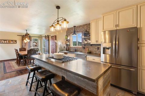 Tiny photo for 1860 Blackfoot Trail, Woodland Park, CO 80863 (MLS # 7037560)