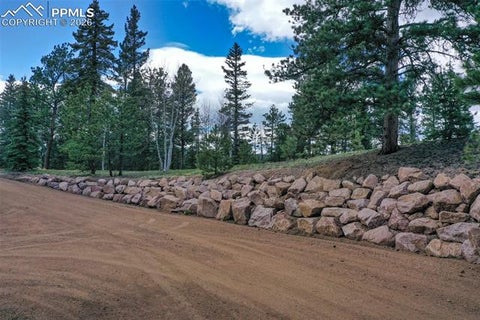 Tiny photo for 185 Wildcat Creek Drive, Florissant, CO 80816 (MLS # 8344055)