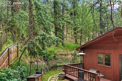Tiny photo for 1003 Kings Crown Road, Woodland Park, CO 80863 (MLS # 5347320)