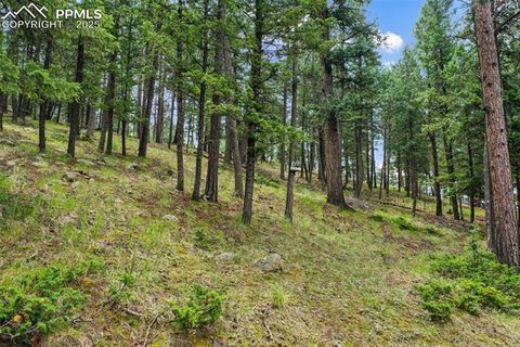 Tiny photo for 1003 Kings Crown Road, Woodland Park, CO 80863 (MLS # 5347320)