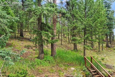 Tiny photo for 1003 Kings Crown Road, Woodland Park, CO 80863 (MLS # 5347320)