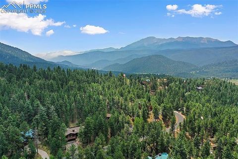 Tiny photo for 1003 Kings Crown Road, Woodland Park, CO 80863 (MLS # 5347320)