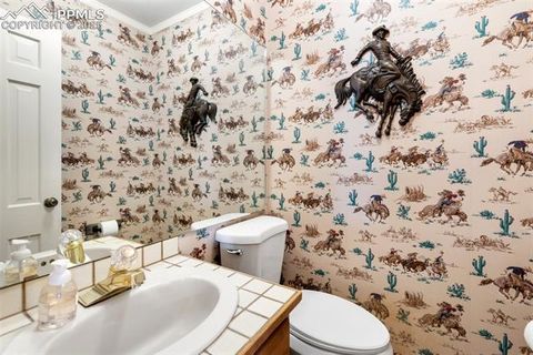 Tiny photo for 231 S Forty Road, Woodland Park, CO 80863 (MLS # 3773296)