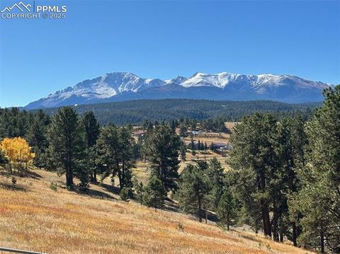 Tiny photo for 231 S Forty Road, Woodland Park, CO 80863 (MLS # 3773296)