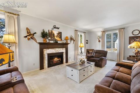 Tiny photo for 231 S Forty Road, Woodland Park, CO 80863 (MLS # 3773296)