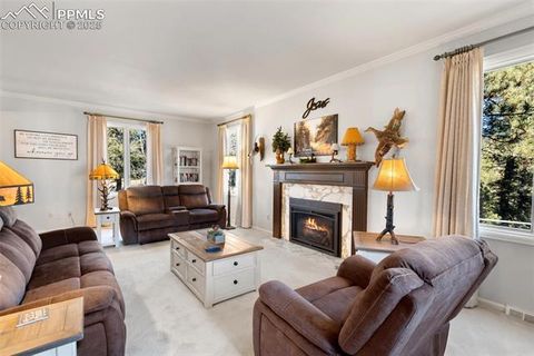 Tiny photo for 231 S Forty Road, Woodland Park, CO 80863 (MLS # 3773296)