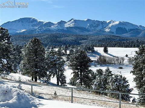 Tiny photo for 231 S Forty Road, Woodland Park, CO 80863 (MLS # 3773296)