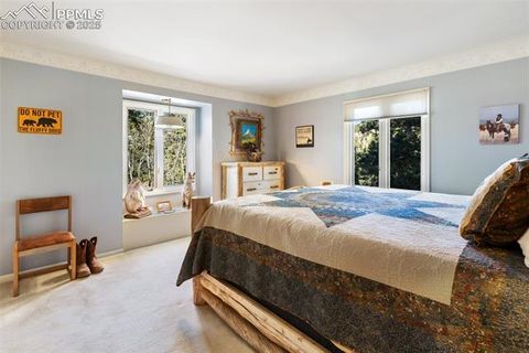 Tiny photo for 231 S Forty Road, Woodland Park, CO 80863 (MLS # 3773296)