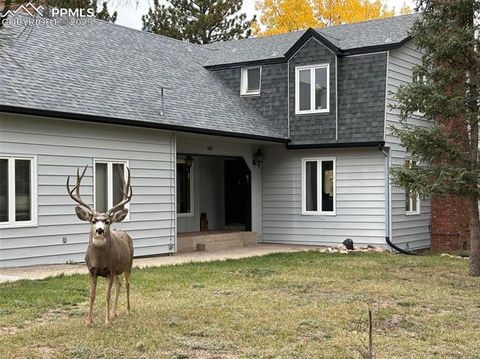 Tiny photo for 231 S Forty Road, Woodland Park, CO 80863 (MLS # 3773296)