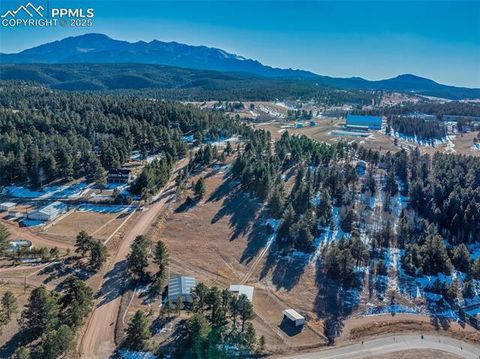 Tiny photo for 231 S Forty Road, Woodland Park, CO 80863 (MLS # 3773296)