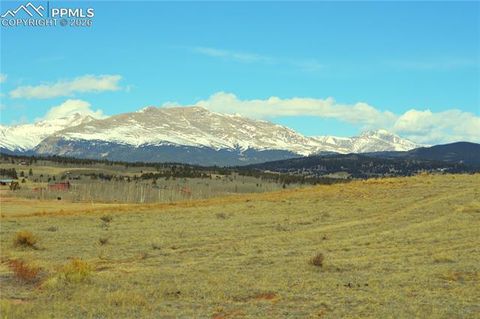 20400 Us-285 Highway Fairplay CO 80440