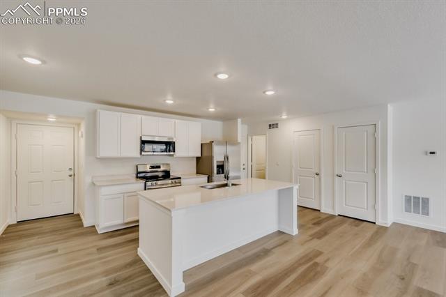 8962 Blue Feather Loop