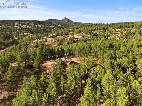 Tiny photo for 1110 Pikes Peak Drive, Florissant, CO 80816 (MLS # 3267749)