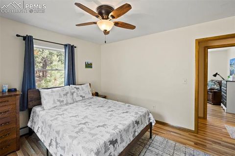 Tiny photo for 1110 Pikes Peak Drive, Florissant, CO 80816 (MLS # 3267749)