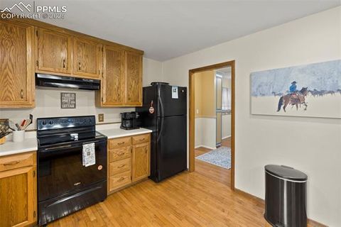 Tiny photo for 1110 Pikes Peak Drive, Florissant, CO 80816 (MLS # 3267749)
