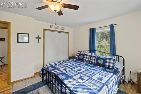 Tiny photo for 1110 Pikes Peak Drive, Florissant, CO 80816 (MLS # 3267749)