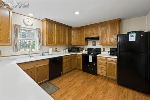 Tiny photo for 1110 Pikes Peak Drive, Florissant, CO 80816 (MLS # 3267749)