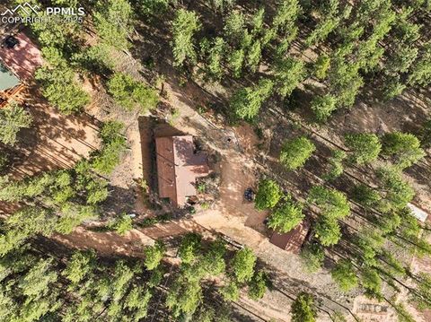 Tiny photo for 1110 Pikes Peak Drive, Florissant, CO 80816 (MLS # 3267749)