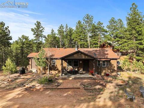 Photo of 1110 Pikes Peak Drive, Florissant, CO 80816 (MLS # 3267749)