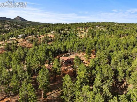 Tiny photo for 1110 Pikes Peak Drive, Florissant, CO 80816 (MLS # 3267749)
